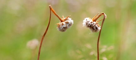 Birth, Loss and In Between
