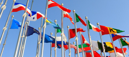 The Summer Olympics: 10 Ways Families Can Discover the World
