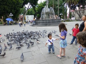 pic with pigeons